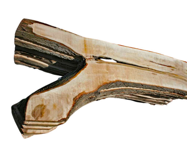 Tischplatten Rohling Ahornholz
