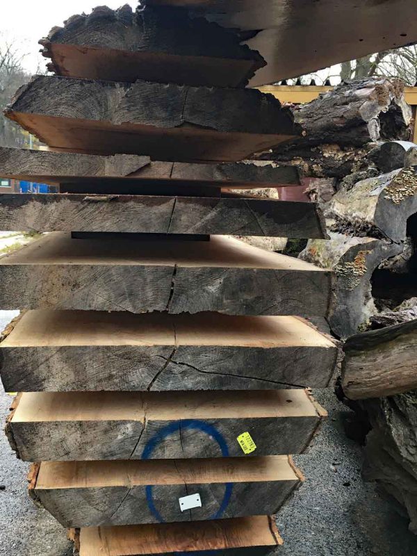Baumscheiben Holzstapel Esche Massivholzplatten