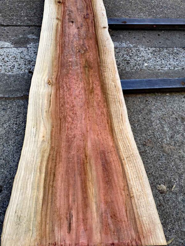 Tischplatte Mammutbaum Redwood